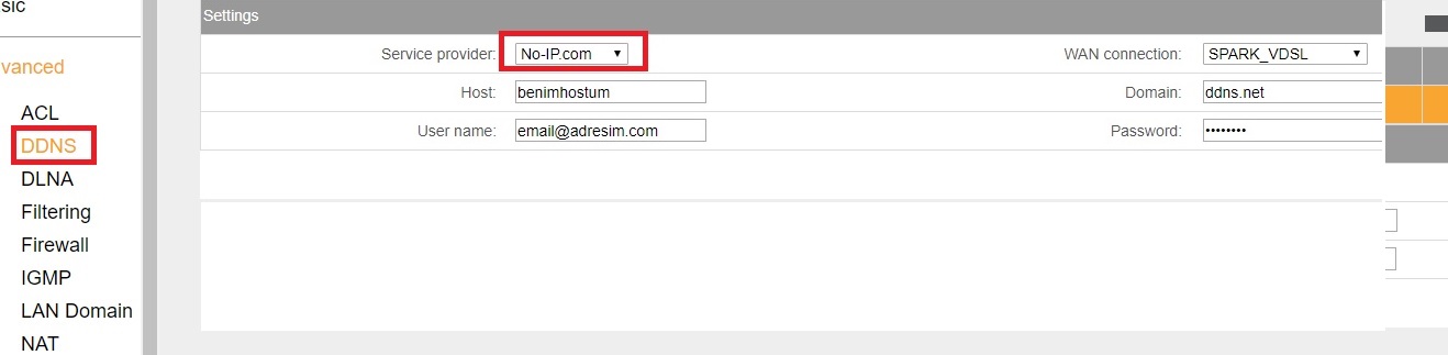 DDNS ayarları